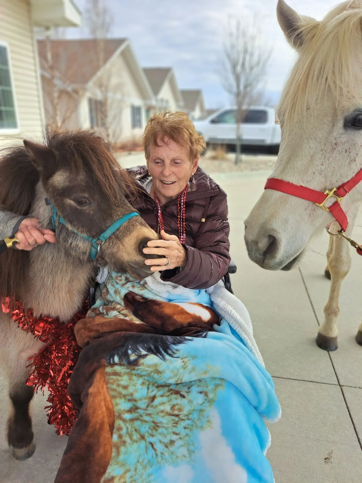 Arlington Place at Red Oak Fulfills Lifelong Dream for Resident with Heartwarming Horse Encounter